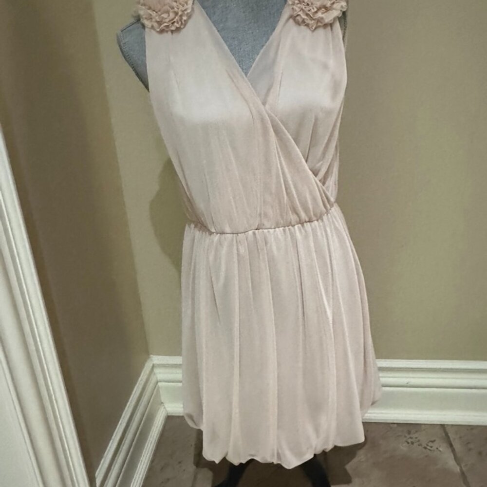H&M Rosette Dress